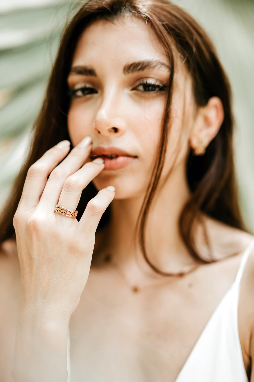 The Bridge Ring